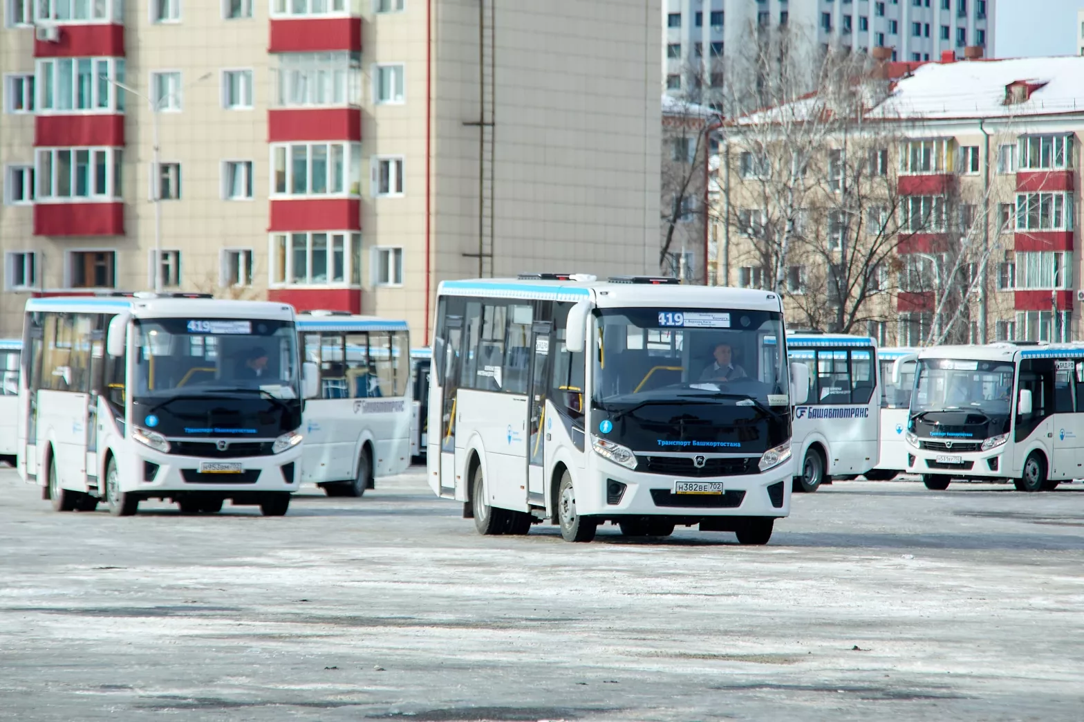 Автобусы Вектор NEXT.jpg